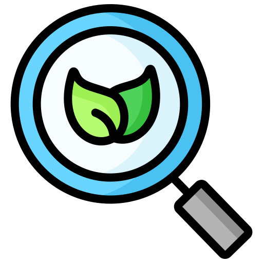 Content Creation & Scheduling